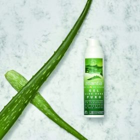 Verwenden Sie reine Aloe vera, nicht in Puderform