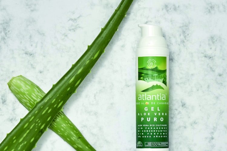 Aloe vera on holiday: how to use it