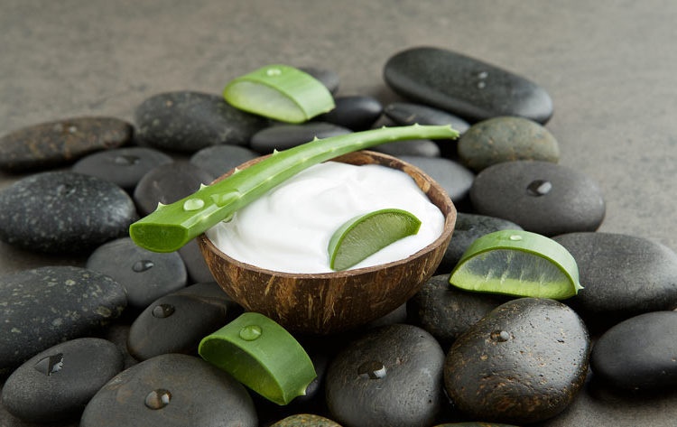 Power up your defenses with aloe vera