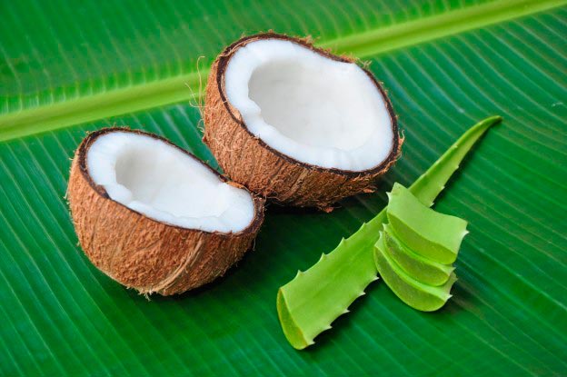 Aloe vera and coconut, allies against wrinkles