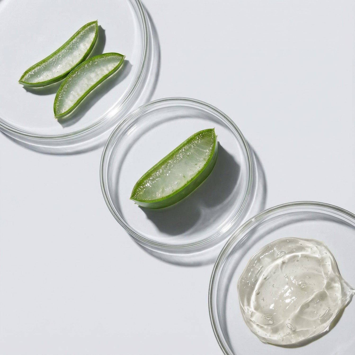 Esta es la composición del aloe que lo hace tan beneficioso