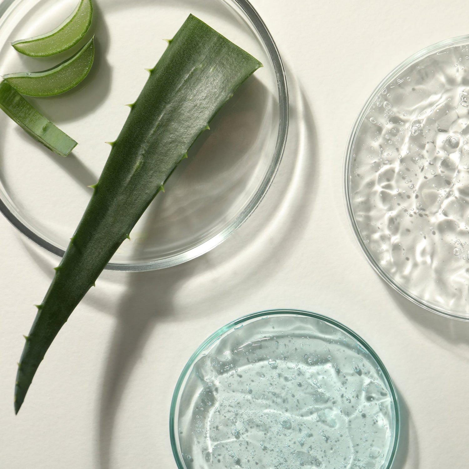 Cómo distinguir un Aloe vera puro 100% de otro