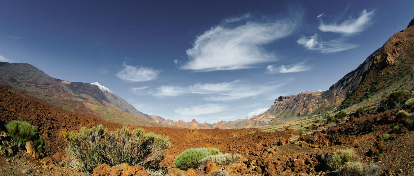 Día de canarias con Atlantia