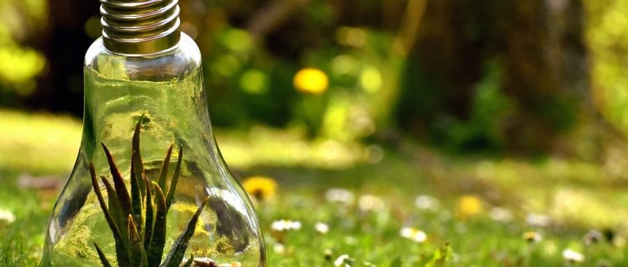 compromiso de Atlantia con el medioambiente