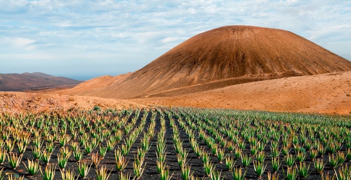 Canary Islands